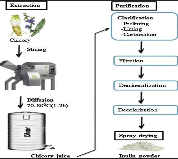 INULIN MANUFACTURING PROCESS