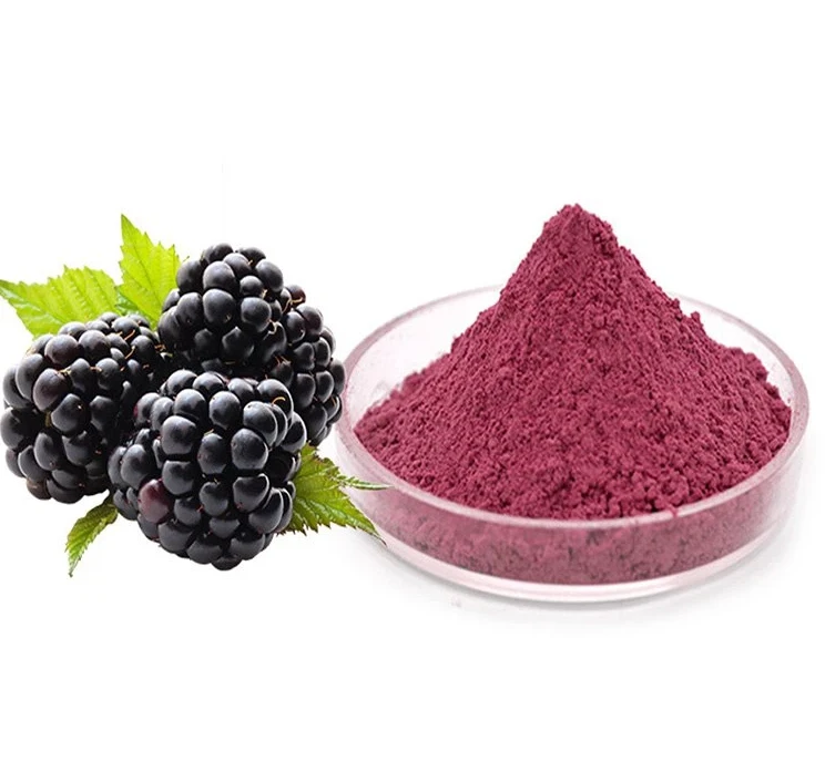 blackberry powder blackberry powder