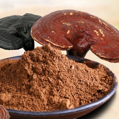 Augstas tīrības Ganoderma pulveris |  Reishi sēņu ekstrakts