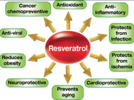 Kas ir resveratrol?