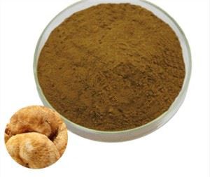 Lauvas mane sēņu pulveris