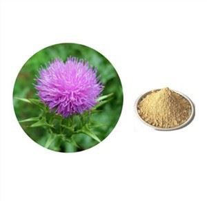 Piena dadzis Pulveris