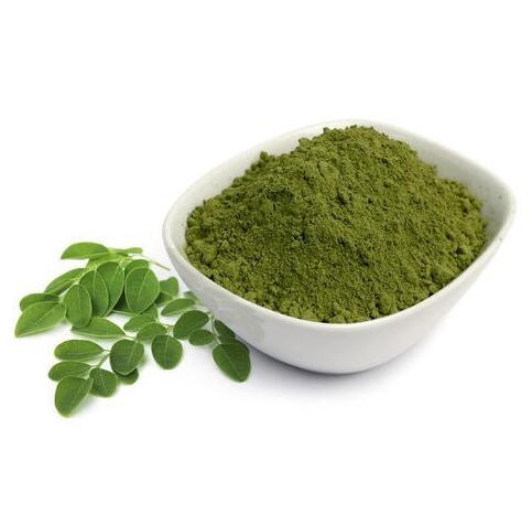 Moringa ekstrakts