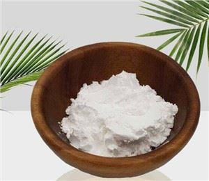 Labākais Arrowroot pulveris