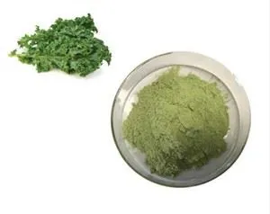 Sasaldēt žāvētu kāpostu pulveri