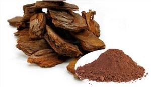 Priedes mizas ekstrakts