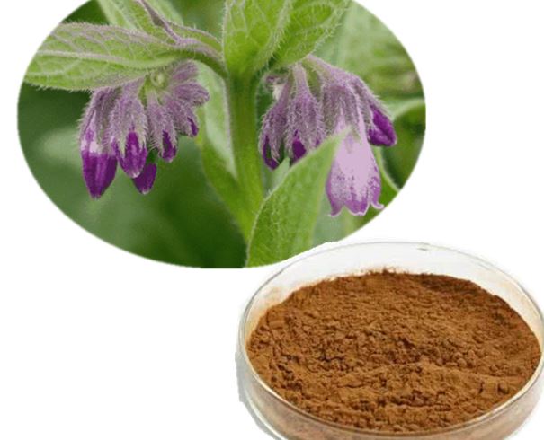Comfrey sakņu pulveris