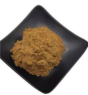 Angelica Polymorpha Sinensis sakņu ekstrakts