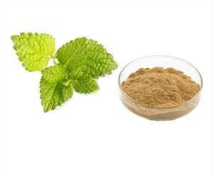 Citronu balzama lapu ekstrakts