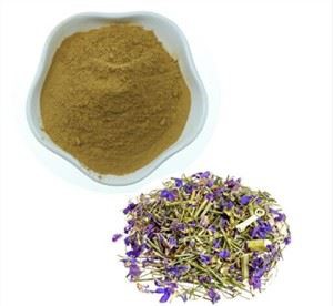 Lithospermum Erythrorhizon ekstrakts