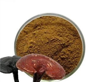 Beta Glucan Reishi