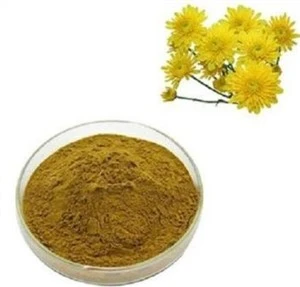 Chrysanthemum Morifolium ekstrakts