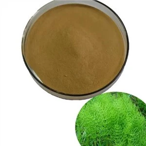 Horsetail Silīcija